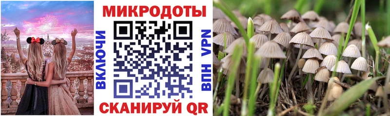 Галлюциногенные грибы мухоморы  наркотики  Кирс 